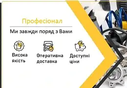 Професіонал